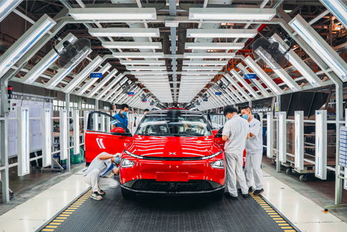 航拍大灣區(qū) 建設灣區(qū)現(xiàn)代新都市,肇慶活力迸發(fā)